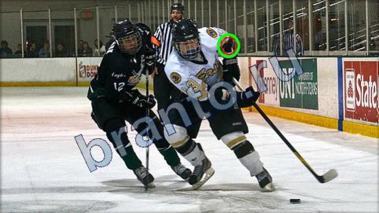 ответы к игре Где же кот Уровень 2445