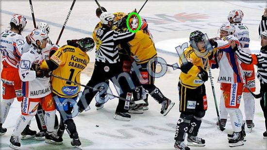 Где же кот игра ответы в одноклассниках Уровень 2447