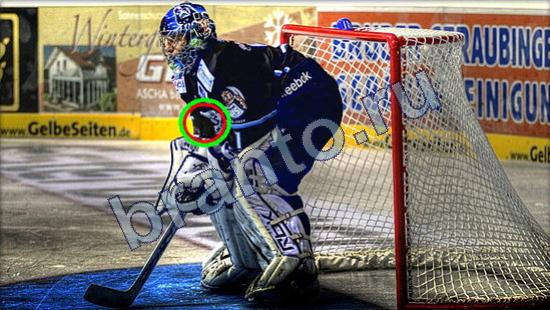 Где же кот? ответы Уровень 2448