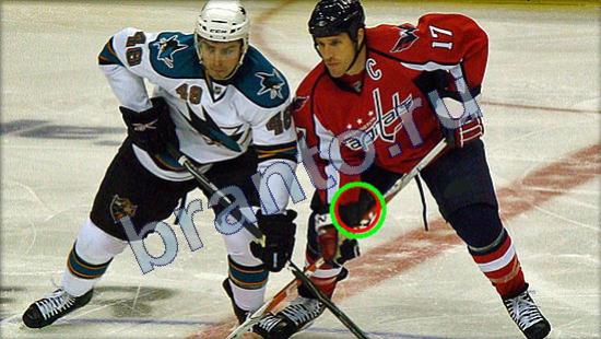 Где же кот? помощь Уровень 2450