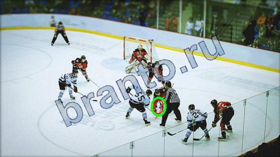 решебник на игру Где же кот Уровень 2451