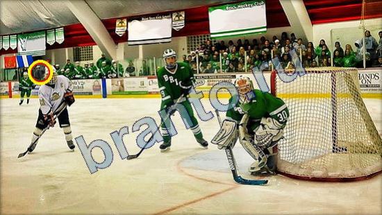 Где же кот? решения Уровень 2452