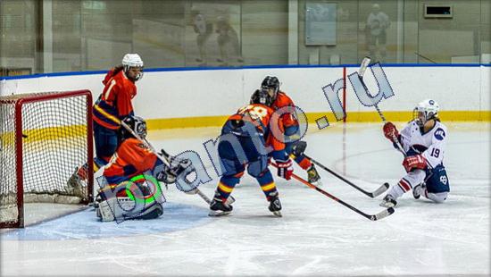 Где же кот игра ответы Уровень 2453