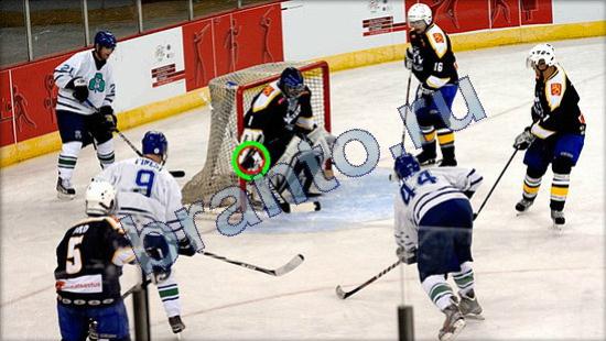 Где же кот игра помощь Уровень 2455