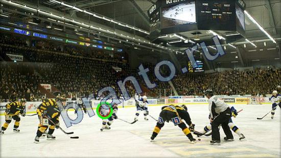 Где же кот ответы в картинках Уровень 2456