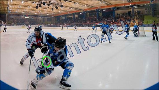 Игра Где же кот ответы Уровень 2457