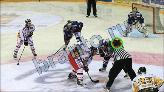 игра Где же кот помощь Уровень 2459