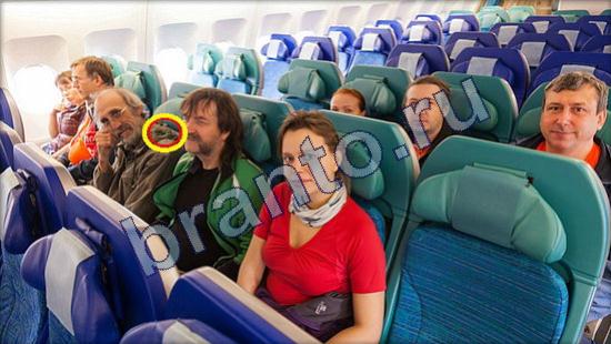 прохождение на игру Где же кот Уровень 2461