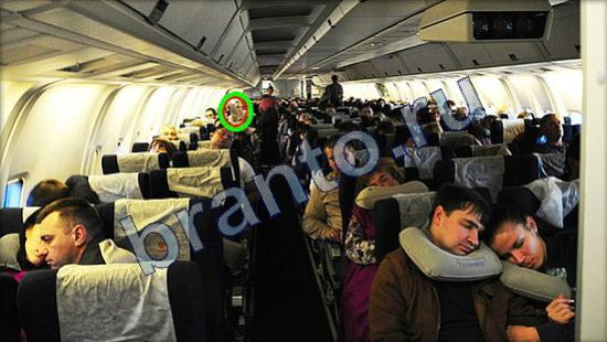 Где же кот прохождение игры Уровень 2462