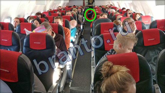 ответы на игру Где же кот в одноклассниках Уровень 2463