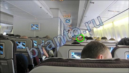 Прохождение игры Где же кот Уровень 2464