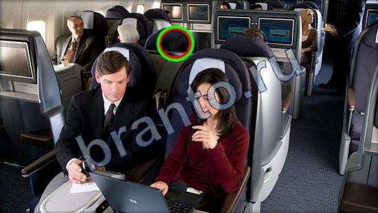 ответы Где же кот Уровень 2465