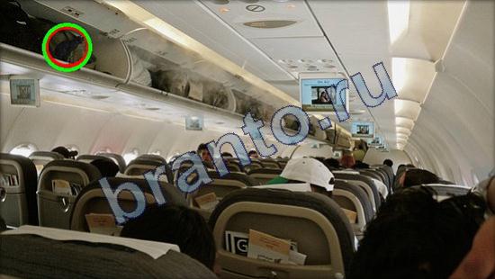 ответы Где же кот? в одноклассниках Уровень 2466