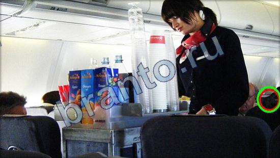 ответы для игры Где же кот Уровень 2467