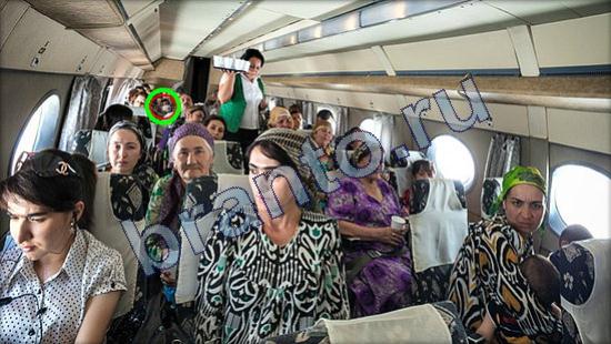 решения для игры Где же кот Уровень 2468