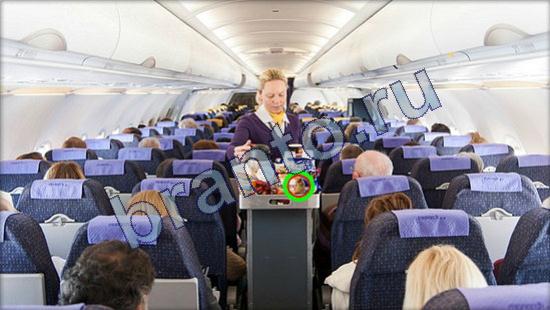 Где же кот ответы на новые задания Уровень 2473