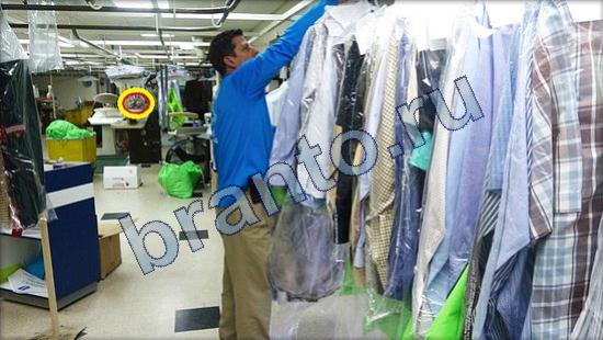 Где же кот прохождение игры Уровень 2502