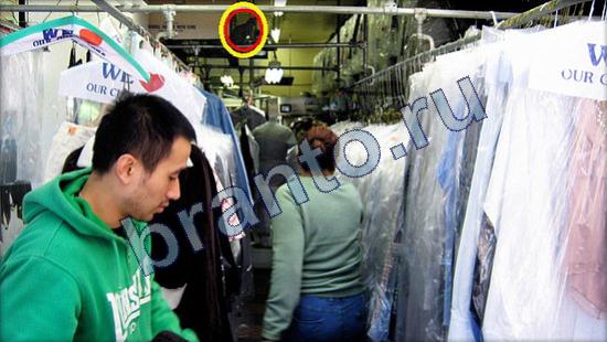 ответы Где же кот? в одноклассниках Уровень 2506