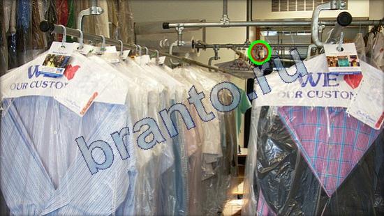 решения для игры Где же кот Уровень 2508