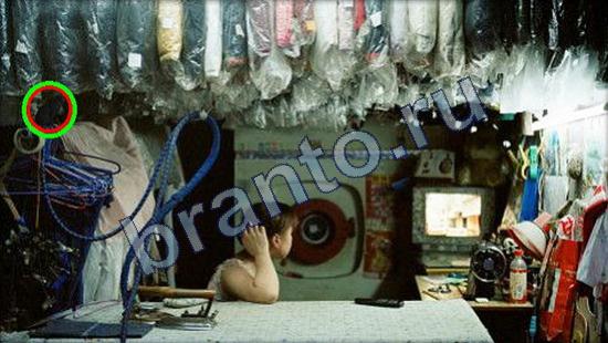 Где же кот ответы на новые задания Уровень 2513