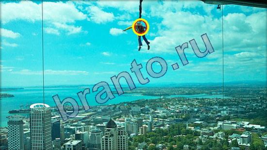 Подсказки на игру Где же кот Уровень 2522