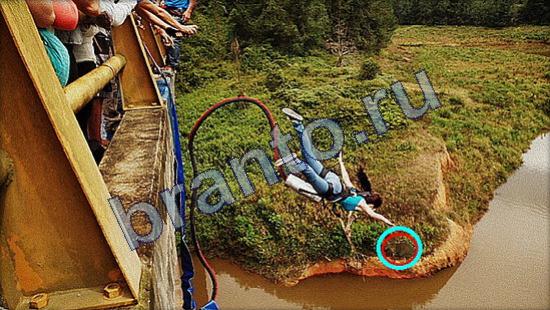 Помощь на игру Где же кот Уровень 2524