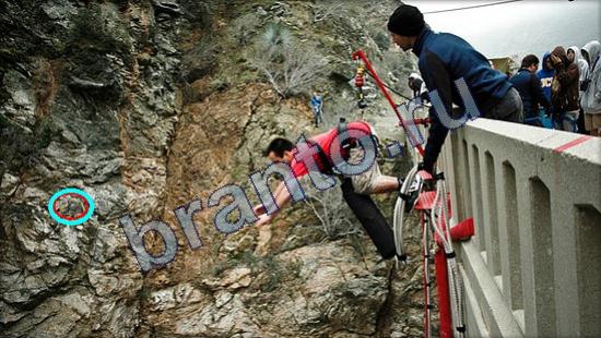 Где же кот? ответы Уровень 2528