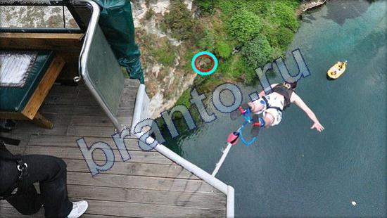 Где же кот? помощь Уровень 2530