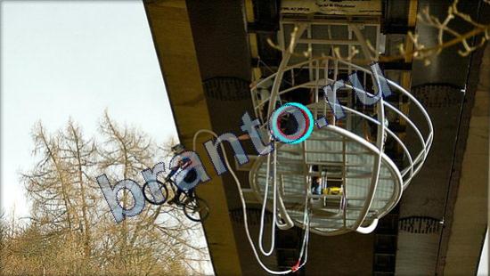 решебник на игру Где же кот Уровень 2531