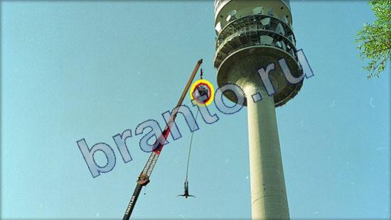 Где же кот? решения Уровень 2532