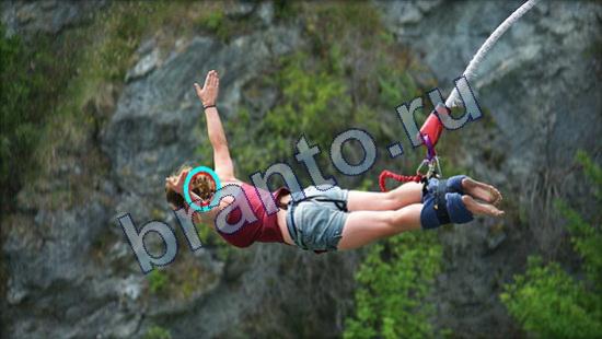 Где же кот игра подсказки Уровень 2534