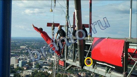 Где же кот игра помощь Уровень 2535