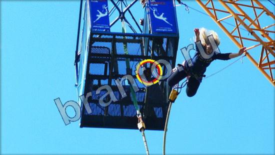 Где же кот ответы в картинках Уровень 2536