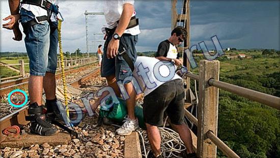 Игра Где же кот ответы Уровень 2537