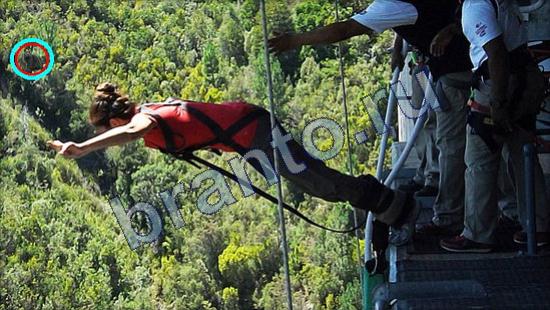 Игра Где же кот подсказки Уровень 2538