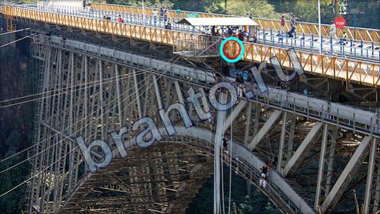 Игра Где же кот прохождение Уровень 2540