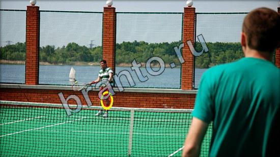 Где же кот прохождение игры Уровень 2542