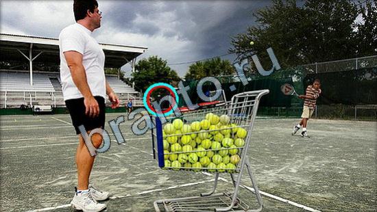 Прохождение игры Где же кот Уровень 2544