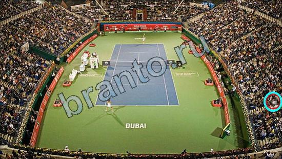 ответы Где же кот? в одноклассниках Уровень 2546