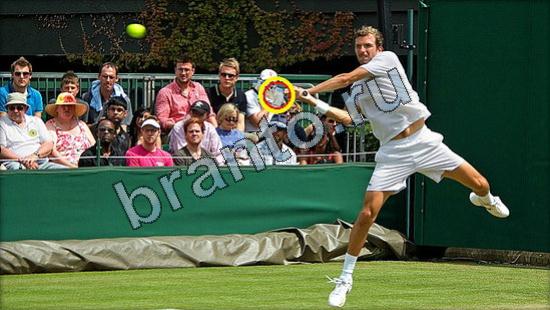 ответы для игры Где же кот Уровень 2547