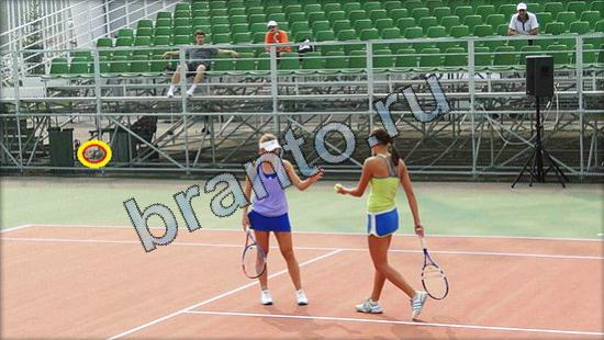 решения для игры Где же кот Уровень 2548