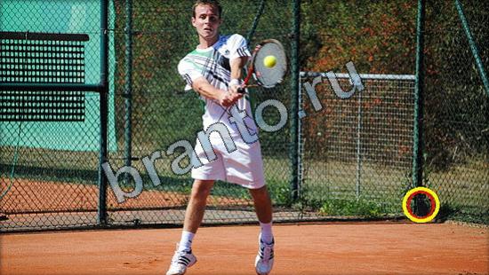 игра в одноклассниках Где же кот ответы Уровень 2550