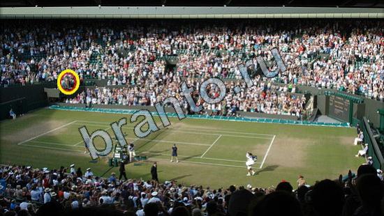 Где же кот помощь в картинках Уровень 2551