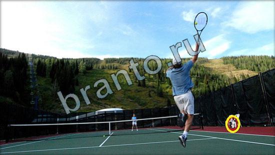 ответы на игру Где же кот в скриншотах Уровень 2552