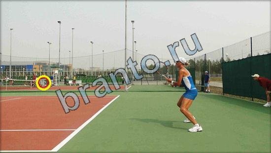 Где же кот ответы на новые задания Уровень 2553