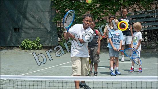 ответы на игру Где же кот Уровень 2554