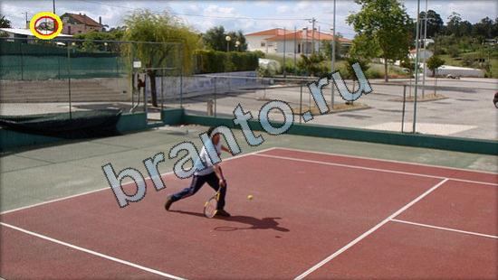 решения на игру Где же кот Уровень 2555