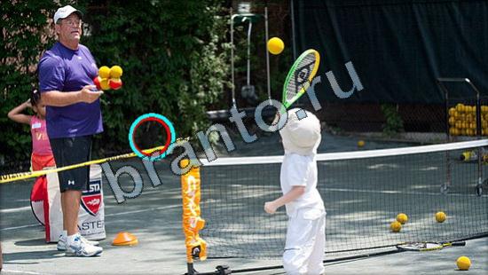 ответы на игру Где же кот Уровень 2556