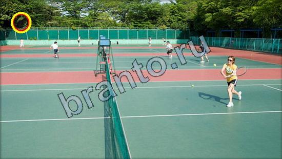 ответы в картинках на игру Где же кот Уровень 2557