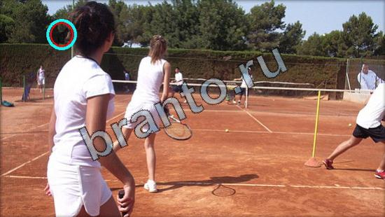 помощь на игру Где же кот Уровень 2558